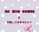 客室乗務員（現役・国内線乗務）とお話しできます 客室乗務員を目指す就活生の方へ　夢を諦めてほしくない！ イメージ1