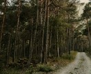 引き寄せの法則をブーストする秘密の瞑想を教えます 【超豪華】秘密の瞑想法伝授と特殊アファメーション音源 イメージ6