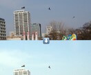 レタッチや画像加工承ります あなたのご要望に合わせて画像加工(レタッチ、色味) イメージ2