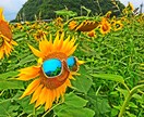 恋愛相談、愚痴、悩み事なんでも聞きます 返信がなるべく早い人がいいですよね!! イメージ1