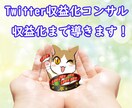 初心者向け２週間Twitter収益化コンサルします Twitterを活用したマネタイズを支援します。 イメージ1