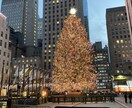 アメリカ留学の悩みや相談アドバイス全て解決できます アメリカ留学悩み全て解決！！！ イメージ1