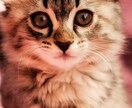 ゆる〜く話したいな、声聴きたいなにこたえます 友達感覚で思う事話してすっきりして頂ければ嬉しいです✨ イメージ7