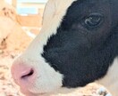 つらくて苦しい気持ちをスッキリさせます 経験あるカウンセラーが仕事/教育/家族の悩みを傾聴します。 イメージ2