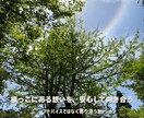 禅タロットで【不登校ママ】の心を軽くします ♡経験者だからこそ、あなたにそっと寄り添います♡ イメージ3