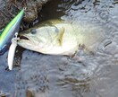 バス釣りのポイント調査してきます 関東全域の気になるバス釣りポイントの調査です！ イメージ1