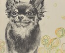 ペットの似顔絵描きます 愛ペットの似顔絵いかがですか？原画お送ります！ イメージ9