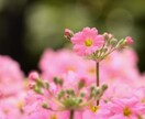 なんでも否定せず聞きます 辛いこと、悲しいこと、ありませんか？なんでも話してください イメージ2
