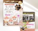 EC商品画像を制作いたします あなたの良い商品を知ってほしいから！欲しくなるデザインを！ イメージ6
