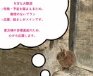 初心者歓迎！効率的な英語学習方法を共に考えます 英語の勉強法をどうぞ！何から始めるか分からない初心者の方も！ イメージ4