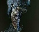 黒紙に色鉛筆でリアルな絵を描きます 他にはない黒紙に色鉛筆でリアルな質感で絵を描くアートです。 イメージ1