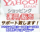 Yahoo!ショッピングのコンサルティングをします Yahoo!ショッピングの開店から販売・広告運用について イメージ1