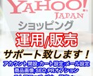 Yahoo!ショッピングのコンサルティングをします Yahoo!ショッピングの開店から販売・広告運用について イメージ1