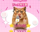 インスタ リール 再生 3000回 増やします 高品質 ⭐ 保証有⭐Instagram 運用 ⭐ SNS ⭐ イメージ2