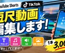 初心者歓迎！Shorts動画編集をします 安く丁寧に視聴者を意識して動画を作ります イメージ1