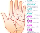 手相講座します 手相講座の初期から上級講座です。 イメージ1