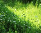 占い依存傾向の方お話しお聴きします あなたに親身に寄り添います(∩´∀｀)∩ イメージ5