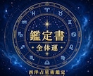 西洋占星術のホロスコープ図であなたの全体運を視ます 一生使えるあなただけの取説を作成します イメージ1