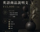 日本の商品を英語で伝わる文章にします 翻訳ではなく文化ごと伝える英文を イメージ3