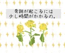 寄り添う占い♡天職は？仕事、転職の未来を占います 適職∥人生∥フリーランス∥使命∥天職∥フリーター∥バイト∥夢 イメージ8