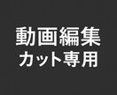 動画の不要部分をカット編集をします Premiere Pro使用で丁寧に編集 イメージ1