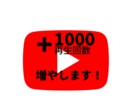 YouTube動画を再生数+1000にします 収益化に向けて！/高品質のリアルユーザー！ イメージ1