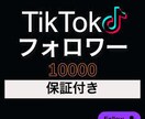TikTokフォロワー10000人増加します 今だけ限定価格！10000人増加するまで宣伝致します！ イメージ1