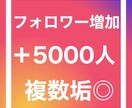 質◎量◎SNS 5000フォロワー売ります 【質◎量◎】SNSフォロワーを増やします！ イメージ1