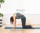 心身共に効果のあるトレーニングをレッスンします 元気で幸せでいられる身体作りを楽しみながら目指しましょう！ イメージ2