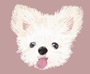 みなさまのうちのこのイラストを描きます うちのこ似顔絵イラスト《お顔のみ》 イメージ1