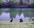 前向きに人生を進んで行きたい人を応援します 学生さんや就活生の方におすすめ。社会人の方も応援します。 イメージ3