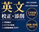 現役大学講師が英文校正！志望動機書等整えます 米国名門大＆早稲田修士の現役大学講師が出願英文を添削校正 イメージ1