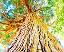 日本に特化した独自鑑定いたします 日本の神々、精霊、自然界へアプローチし、問題解決の緒を イメージ1