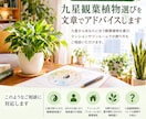 九星観葉植物選びを文章でアドバイスします ワンルームやマンションに合う植物をご提案 イメージ1