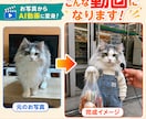 ペットの写真からAI動画を制作します 写真数枚から可愛いペットAI動画を制作 イメージ1