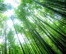 治癒ヒーリングします 宇宙・大地のエネルギーを注ぎます。 イメージ6