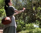 癒し特化のヒーリングを遠隔で5回お届けします アチューンメントにもある神仏共鳴で癒しをお届けします！ イメージ1