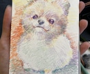 色鉛筆でペットの似顔絵ポストカード制作します 色鉛筆で雰囲気のある色味の似顔絵を描きます！ イメージ4