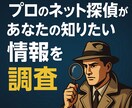 プロのネット探偵があなたの知りたい情報を調査します ネットの公開情報を探偵が徹底調査！あなたの知りたいを報告書に イメージ1