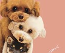 想いを乗せたイラストを描きます 飼い主さまの愛情をヒアリングし、イラストに生かします。 イメージ8