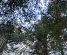 ただ話を聴いてほしいあなたへ　安心して話せます ひとりで抱え込まないで、あなたのペースで話せる時間。 イメージ2