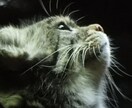 ペットなど動物の似顔絵お描きします 思い入れのあるペットや大好きな動物のかっこよくかわいい絵を。 イメージ5