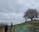 あの人許せない！そんな気持ち受け止めます 嫁姑・夫の無理解など周りに理解されない悩みに寄り添い支えます イメージ5