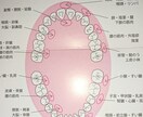 お口のトラブルや悩み解決致します お口の事でお悩みの方口臭 歯ブラシの選び方等々 イメージ2