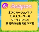 インスタフォロアー増やします 日本人アクティブフォロワーを最短２～３日で１００人増やします イメージ8