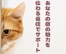 旅館・ホテル★宿泊予約サイトのクチコミ返信します 元旅行会社出身のスタッフが宿の魅力が伝わる返信でサポート イメージ8