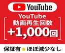 YouTube動画再生回数+1000回増加させます 【最安値✨収益化への近道】YouTube運営に悩む方必見！ イメージ1