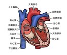医療関係のイラストを作成します 講習会や教科書、テキストやポスターなどに使用頂けます。 イメージ9