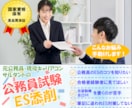 公務員試験）元公務員コンサルタントがES添削します 【内定支援】元公務員・国家資格保有者によるプロの就活サポート イメージ1