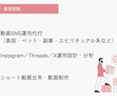 限定価格｜SNS運用＆動画投稿をまとめて代行します SNS運用の実績拡大中！1月迄限定で“特別価格”にてご提供 イメージ8